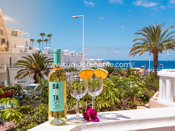 Studio zur Miete in Playa de Fañabe, Teneriffa Süd, Tu Nido Tenerife