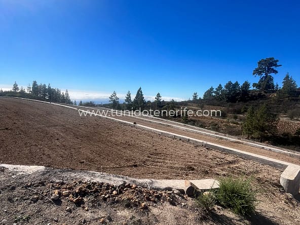 Finca in vendita a Cho Pancho, San Miguel de Abona, Tu Nido Tenerife